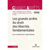 Dalloz Les grands arrêts du droit des libertés fondamentales