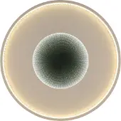 Globo Plafonnier LED, télécommande, veilleuse, CCT, D 50,5 cm