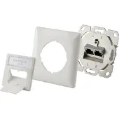 Renkforce Prise réseau encastrée Insert avec plaque centrale et cadre CAT 6a 2 ports blanc (RF-4695152)