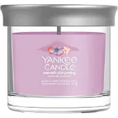 Yankee candle Summit Stargazing bougie parfumée Signature 122 g