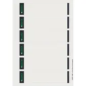 Leitz Étiquettes courtes pour classeurs , imprimable, largeur de tranche 50 mm, autocollant, 150 p., gris