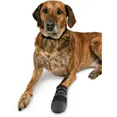Trixie Walker Care - Chaussures pour chien - XXXL