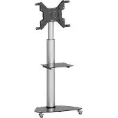 Speaka Professional SP-TVC-500 TV-Rollwagen 94,0 cm (37) - 203,2 cm (80) Bodenständer (SP-10094232)