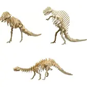 Pebaro Set De 3 Dinosaures 856/8 - 856/3 - 856/7