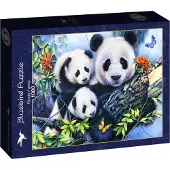 Bluebird Puzzle Puzzle Panda Family - 1000 pièces