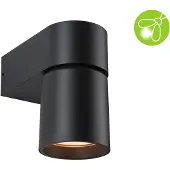 Paulmann Applique murale d'extérieur LED Kimu respectueuse des insectes