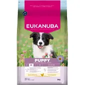 Eukanuba Puppy Medium au poulet pour chiot