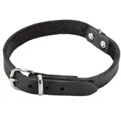 Beeztees BZ COLLIER EN CUIR NOIR 62X25 (Chien, Général)