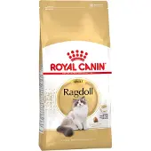 Royal Canin Ragdoll adult 10 kg