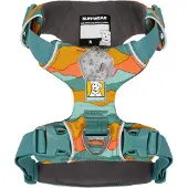Ruffwear Harnais Pour Chien Front Range