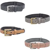 Beeztees Bz Balacron Collier Ax Rose 2 (Chien, Sport canin)