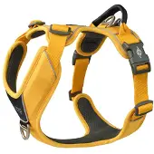 Dog Copenhagen Comfort Walk Pro Harness - Lemon - XS