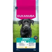 Eukanuba croquettes pour grands chiens adultes, riches en poulet, 15 kg