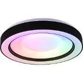 REALITY IMPORT Plafonnier LED rond ARCO noir 22 W, nuances de blanc, 2500 lm, plastique, dimensions : 8 x 49 x 49 cm, IP20, RL