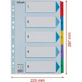 Esselte Karton-Register Mylar, verschiedene Ausführungen, einzeln