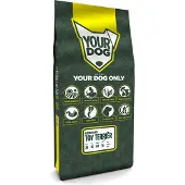 Yourdog Amerikaanse Toy Terriër Pup