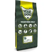 Yourdog Russian Toy Volwassen