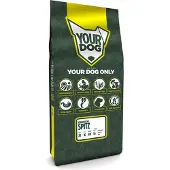 Yourdog Visigotische Spitz Pup