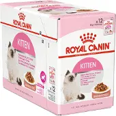 Royal Canin Kitten Jelly 85g Wet Cat Food Multicolore