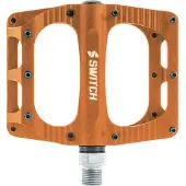 Nintendo Switch Freeride Pedals Doré