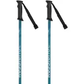 Rossignol Tactic Poles Argenté 110 cm Homme,Femme