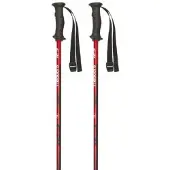 Masters Bâtons Rental Carbon