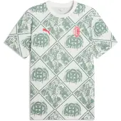 Puma Ac Milan Ftblculture Short Sleeve T-shirt Vert L Homme