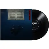 INTERSCOPE Hit Me Hard And Soft (black Lp)