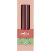 Bolsius Bougies pointues, set de 4 25x2,5cm bordeaux (4x)