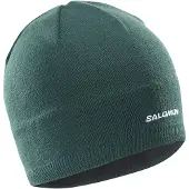 Salomon Logo Beanie Vert