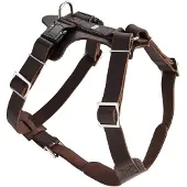 Hunter harnais Aalborg, taille:S-M/2, couleur:marron foncé