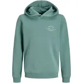 Jack & Jones Brandon Hoodie Vert 10 Years Garçon