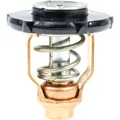 Sierra Yamaha Thermostat 6fp-12411-00-00 Doré
