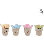 Take Me Home Plant Pluche - 13cm