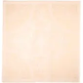 GUESS Kefiah Handkerchief Beige Femme