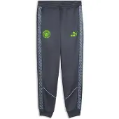 Puma Pantalon Manchester City Fc King Anthem