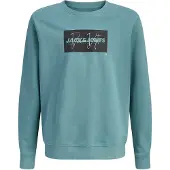 Jack & Jones Junior Sweat 'JJCOLE' émeraude / noir / blanc