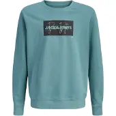 Jack & jones Pull Cole Print Crew Enfants