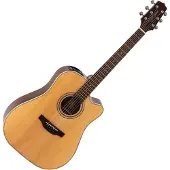 Takamine GD20CE Natural Satin Guitare Dreadnought acoustique-électrique