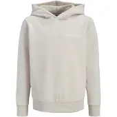 Jack & Jones Sweat à Capuche Zack
