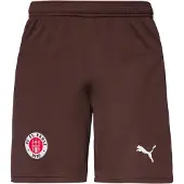 Puma Pantalon de sport 'FC St. Pauli 25/26' brun foncé / rouge sang / blanc