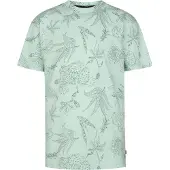 Petrol Industries B-1060-tsr618 Short Sleeve T-shirt Vert 15-16 Years Garçon