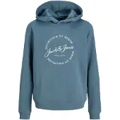 Jack & jones Junior Sweat 'JJGrayson' opal / blanc