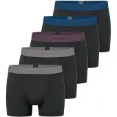 Schiesser Boxers '95/5 Organic Cotton' bleu foncé / gris clair / violet foncé / noir