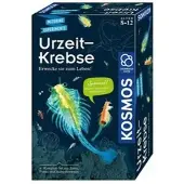 Kosmos 65787