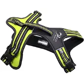 Axaeco 4 Season Power Dog Harness Jaune XS