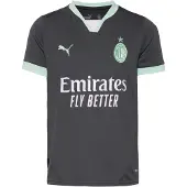 Puma T-Shirt fonctionnel 'AC Milan 24/25' gris foncé / menthe / blanc