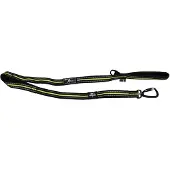 Axaeco 4 Season Elastic Dog Leash Argenté