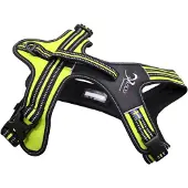 Axaeco 4 Season Power Dog Harness Jaune M