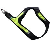 Axaeco Harnais Pour Chien X-run